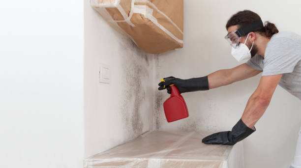 Professional Mold Cleanup technician working in Bellmore, NY