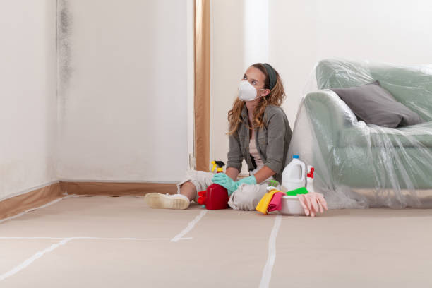 Reliable Mold Cleanup contractor in Bellmore, NY by WQB Mold Removal